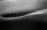 In the hollow of the dunes Poster och Canvastavla