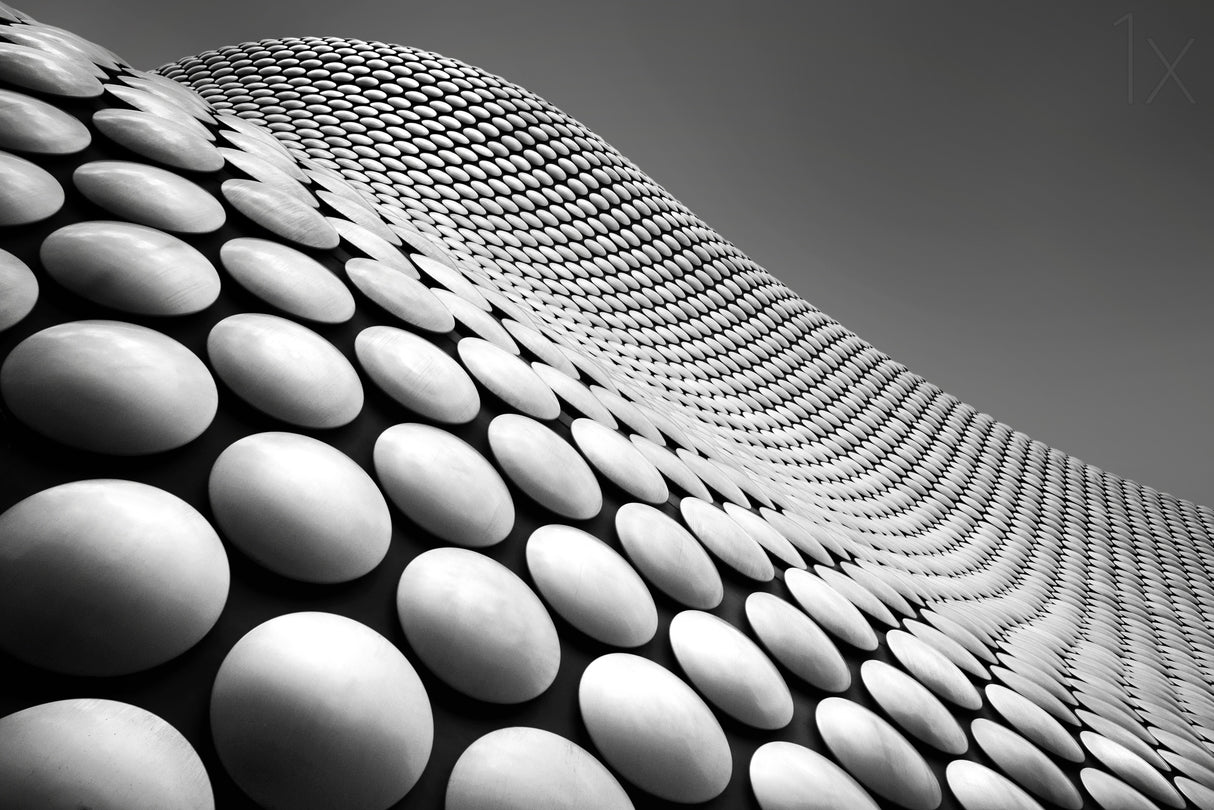 Curve Poster och Canvastavla