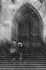 Snowy Day Poster och Canvastavla