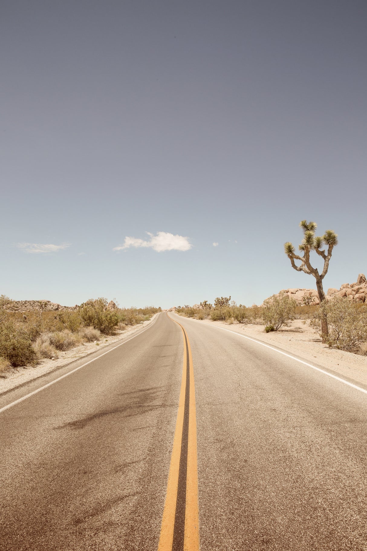 Road To Nowhere Poster och Canvastavla