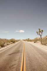 Road To Nowhere Poster och Canvastavla
