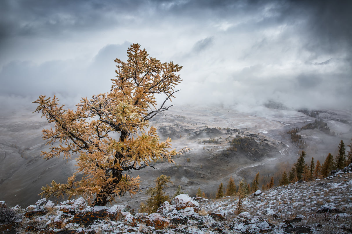 Cold autumn morning in the mountains Poster och Canvastavla