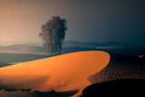 ALQUDRA DESERT Poster och Canvastavla