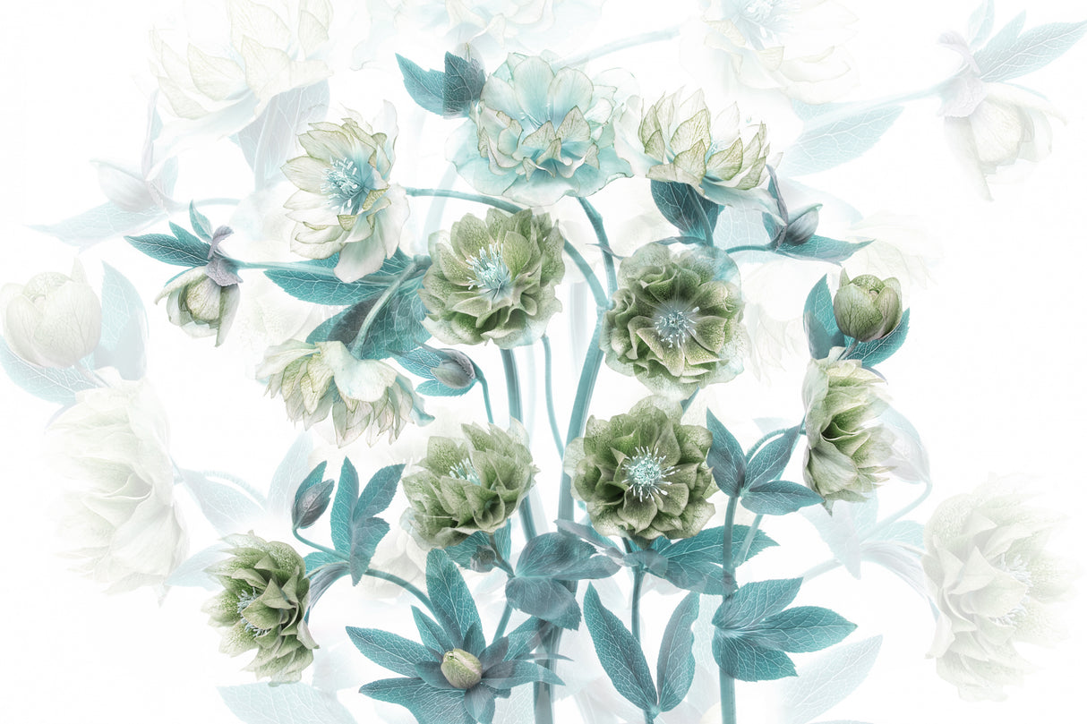 Flourishing Poster och Canvastavla