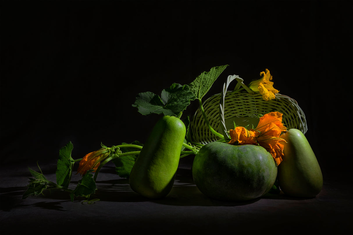 Garden Melons Poster och Canvastavla