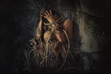 Trapped Poster och Canvastavla