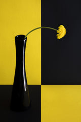 Still life with dandelion Poster och Canvastavla