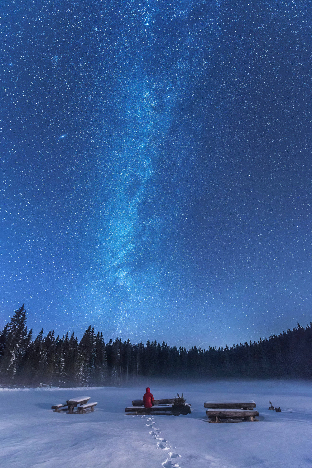 Under the starry night Poster och Canvastavla