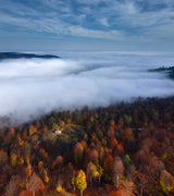 Foggy Forest Panoramic View Poster och Canvastavla