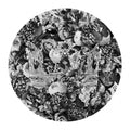 Journey Blooms &amp; Crown Black &amp; White Poster och Canvastavla