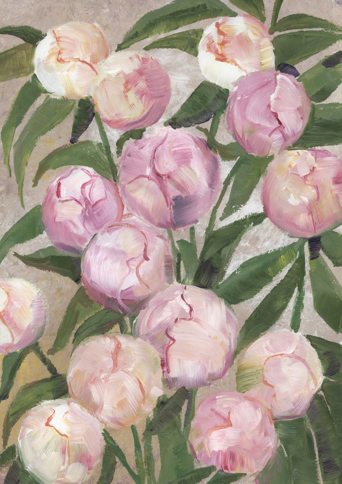 Valenty painterly peonies Poster och Canvastavla