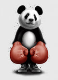 PANDA BOXER Poster och Canvastavla
