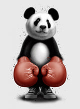 PANDA BOXER Poster och Canvastavla