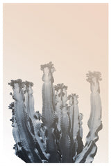 Boho Cactus No.3 Poster och Canvastavla