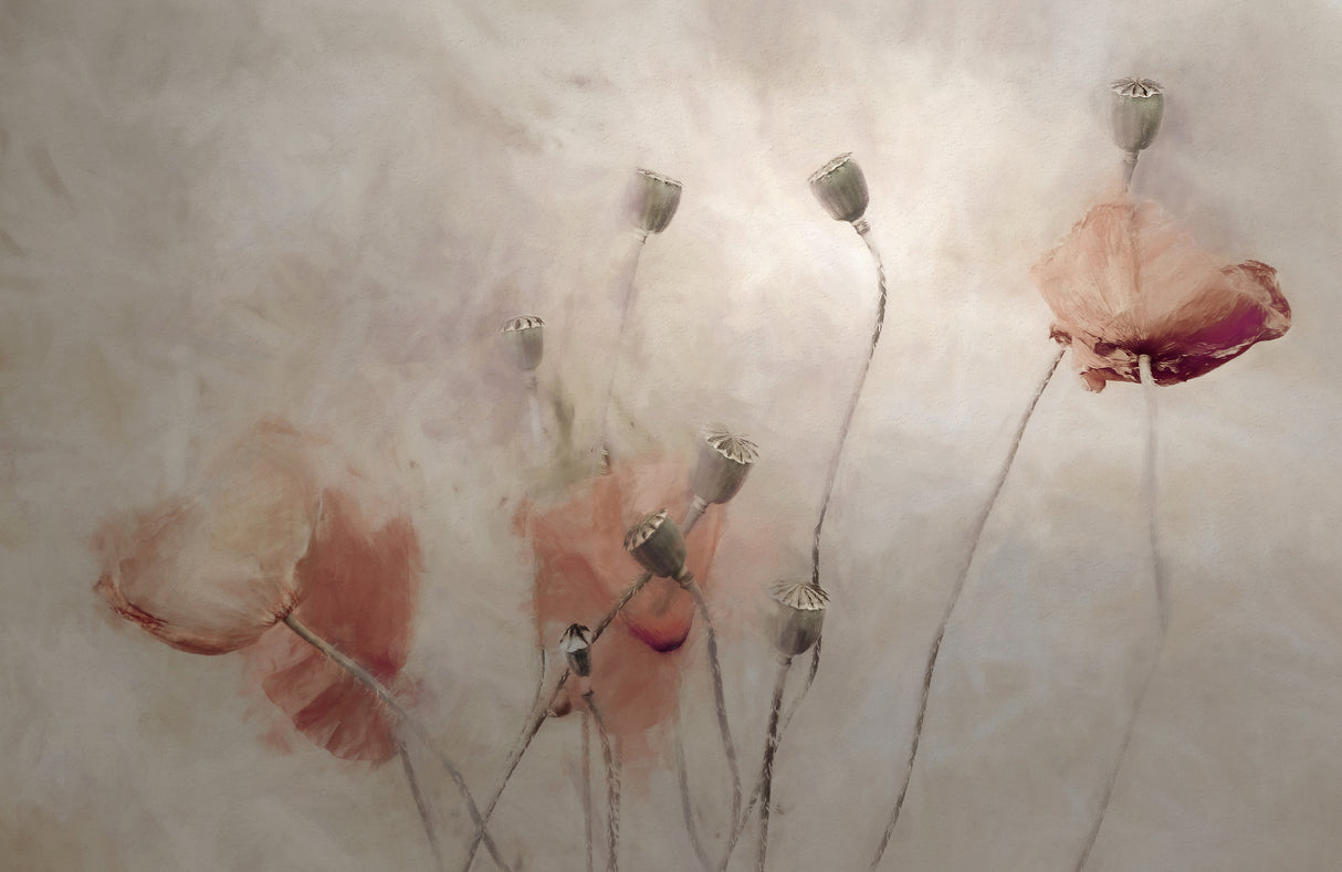 frolicking hats Poster och Canvastavla