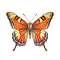 Butterfly 45 Poster och Canvastavla