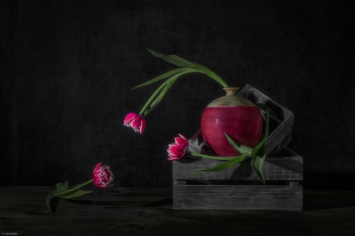 Tulips Chitcha Poster och Canvastavla