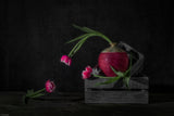Tulips Chitcha Poster och Canvastavla