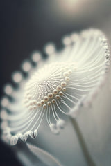 Tiny Pearls Poster och Canvastavla