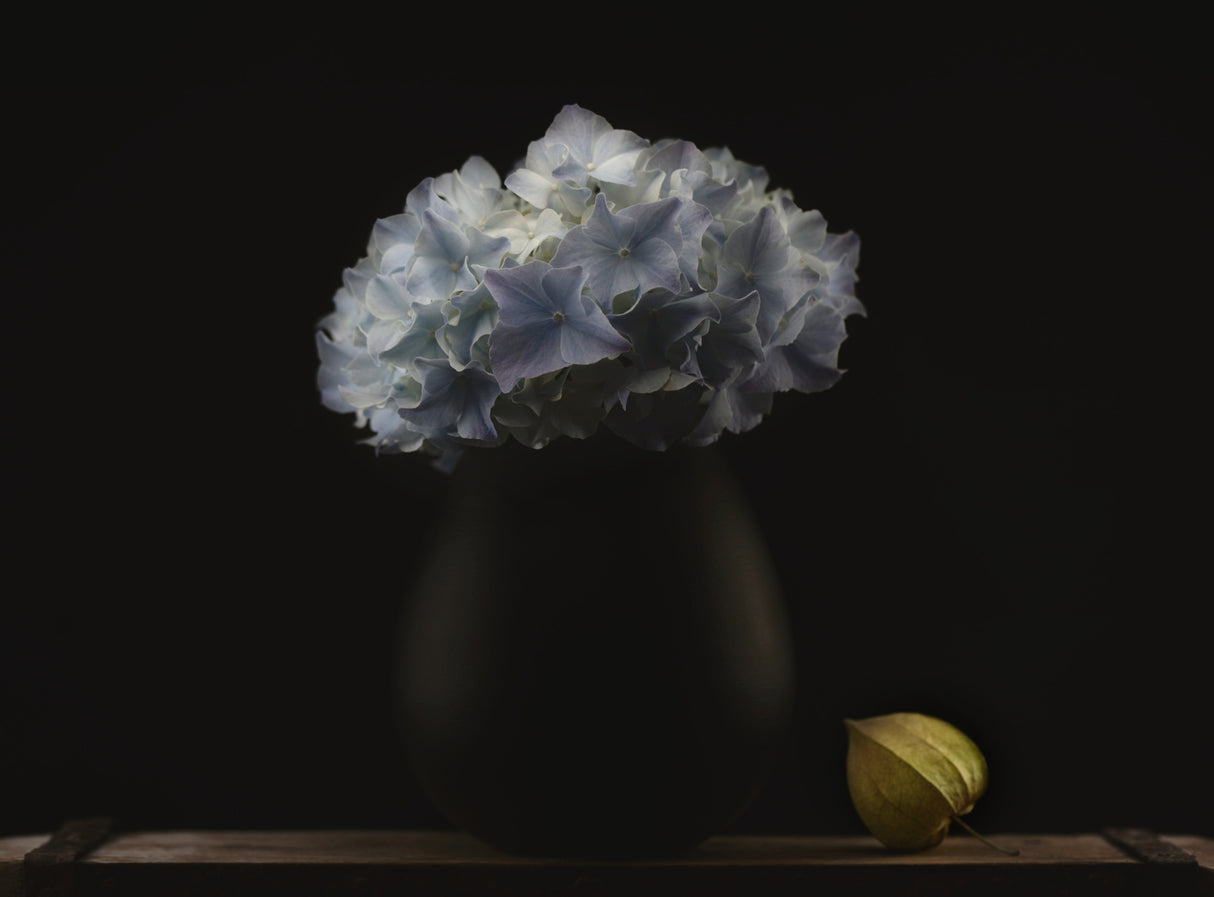 Hydrangea and vase Poster och Canvastavla
