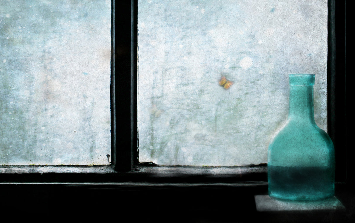 The Blue Bottle and the Butterfly Poster och Canvastavla