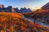 Fall Color Poster och Canvastavla