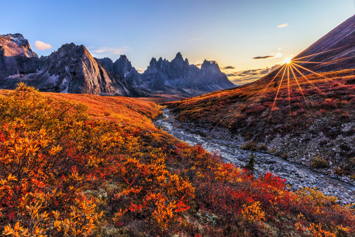 Fall Color Poster och Canvastavla