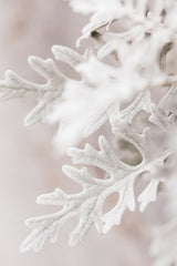 Silver Leaves No 2 Poster och Canvastavla