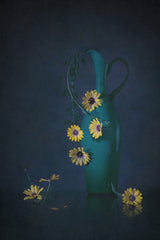 Yellow Daisies Poster och Canvastavla