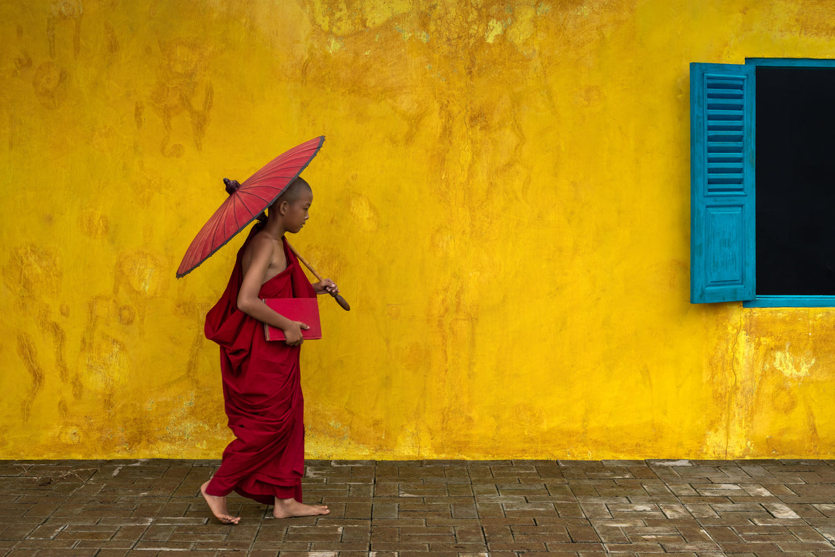 Novice monk walking by Poster och Canvastavla