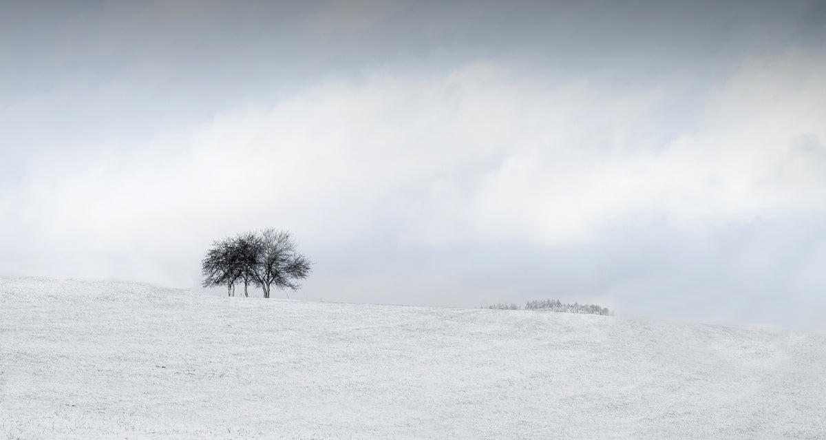 snow Poster och Canvastavla
