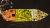 Fruits carrying cargo ship Poster och Canvastavla