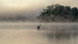 Kayaking in the Fog Poster och Canvastavla