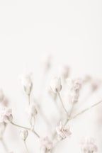 Pink Small Flowers Poster och Canvastavla