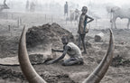 Framed in the antlers - South Sudan Poster och Canvastavla