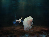 floating in a dream... Poster och Canvastavla