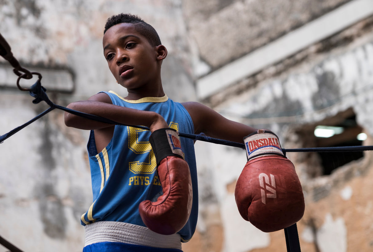 Boxing Poster och Canvastavla