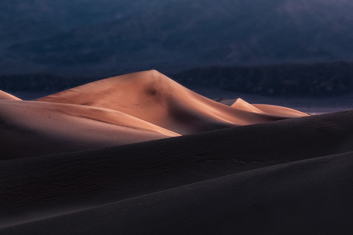 Sand Dunes at Dawn Poster och Canvastavla