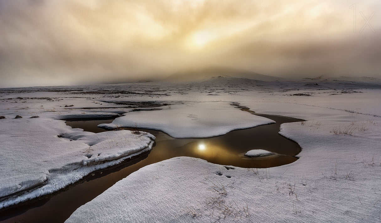 Golden Iceland Poster och Canvastavla