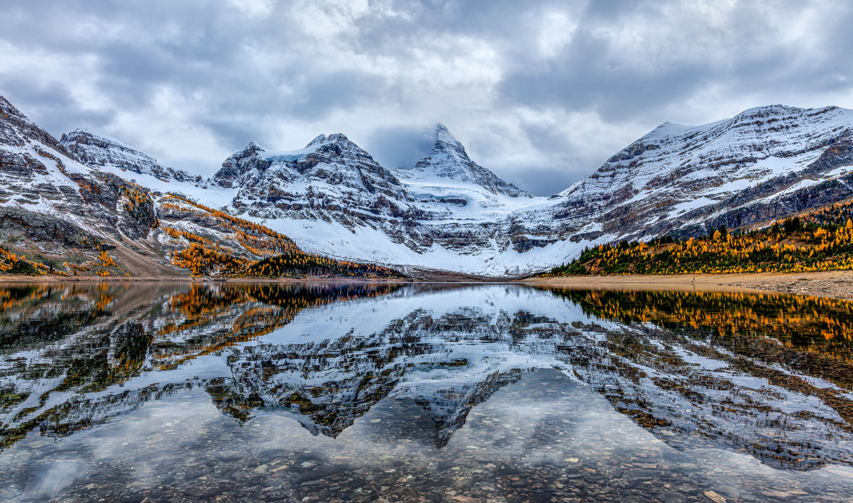 Assiniboine reflection Poster och Canvastavla