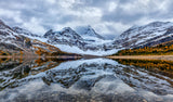 Assiniboine reflection Poster och Canvastavla