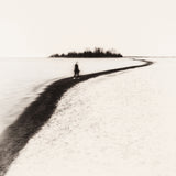 Lake Shore 7 Poster och Canvastavla