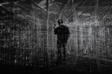 The shadow Poster och Canvastavla