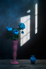 Window Light Poster och Canvastavla