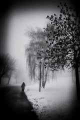 At slow steps in the cold morning Poster och Canvastavla