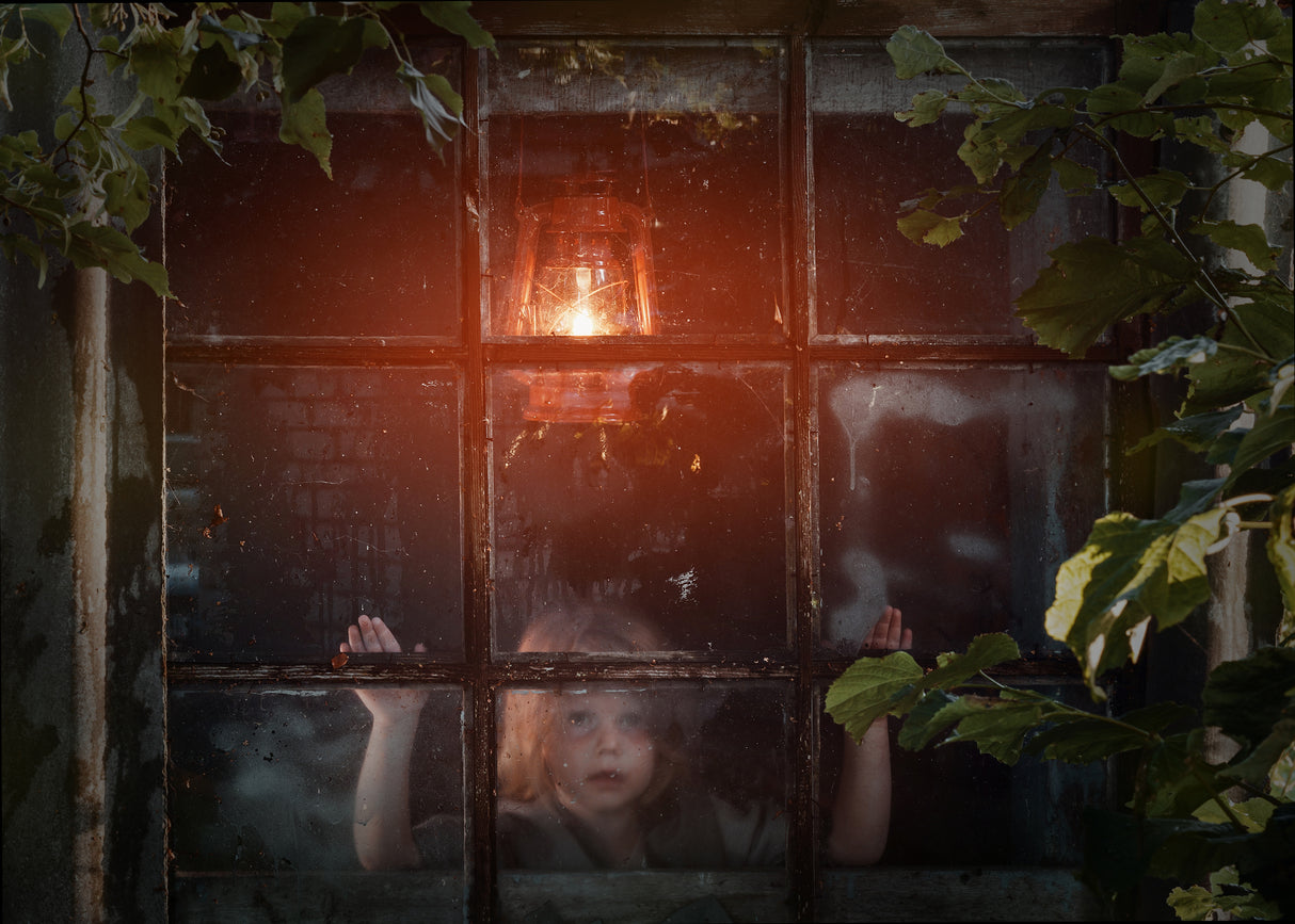 At the window Poster och Canvastavla