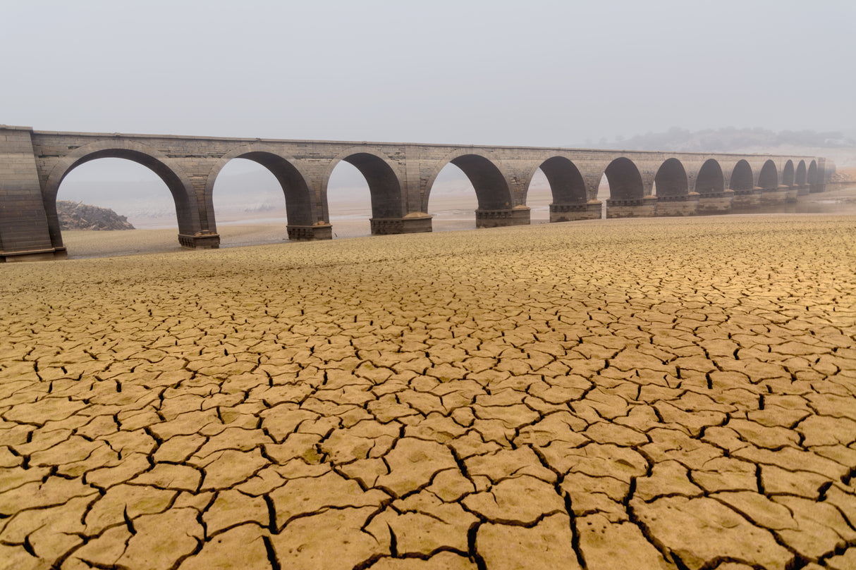 Drought landscapes Poster och Canvastavla