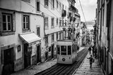 Tram in Lisbon Poster och Canvastavla