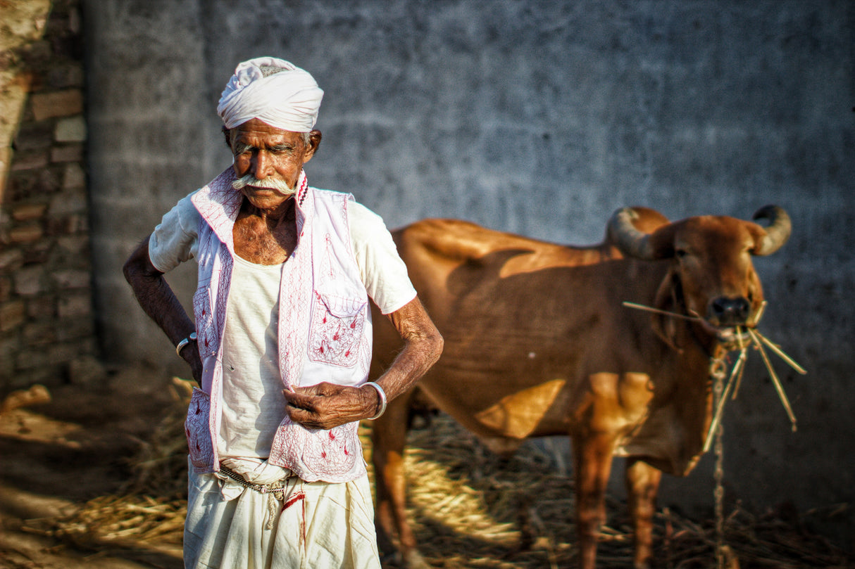 NOMADE Poster och Canvastavla