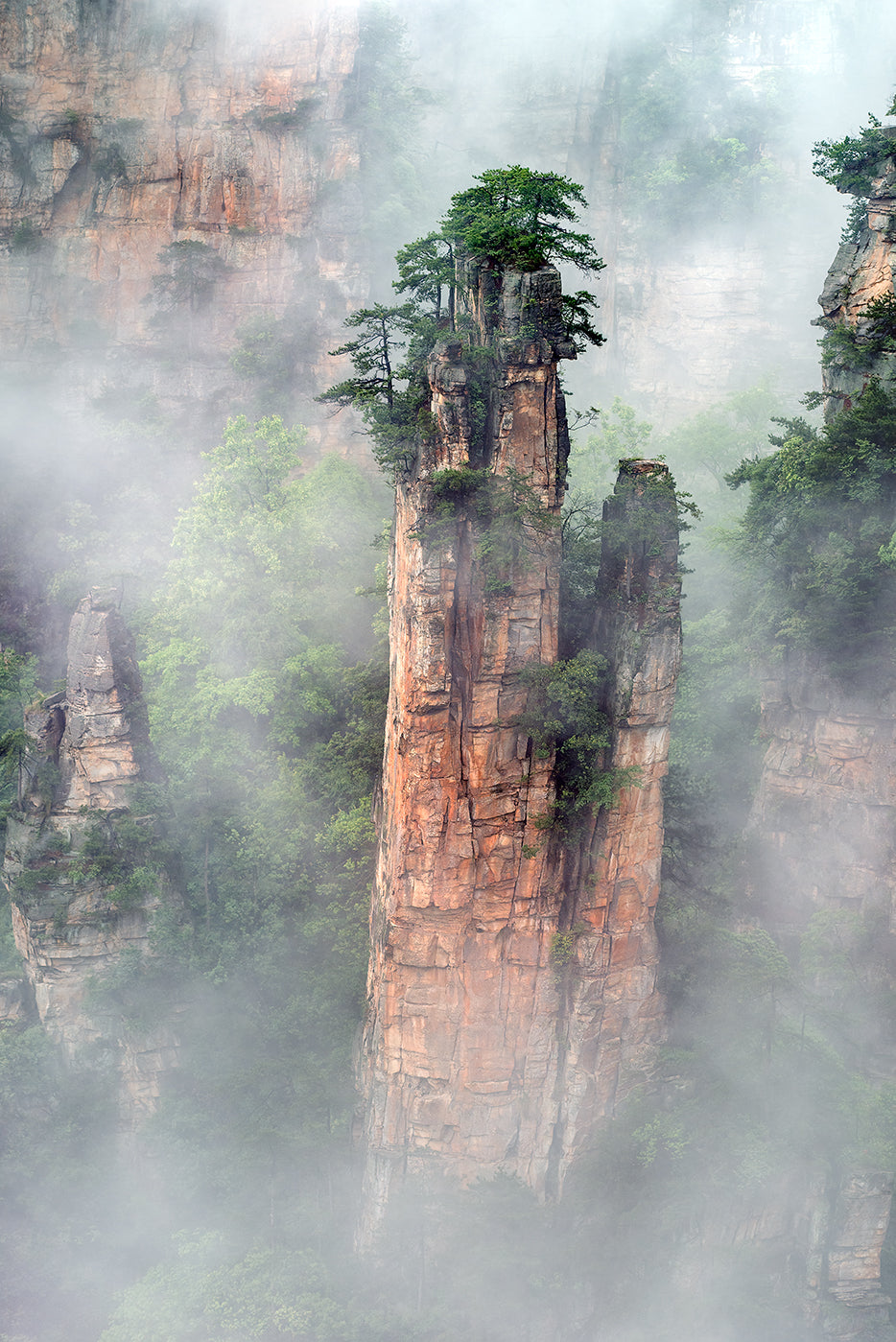 Zhangjiajie Poster och Canvastavla